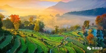 婺源最新爆料,最新爆料揭秘古村新颜  第1张